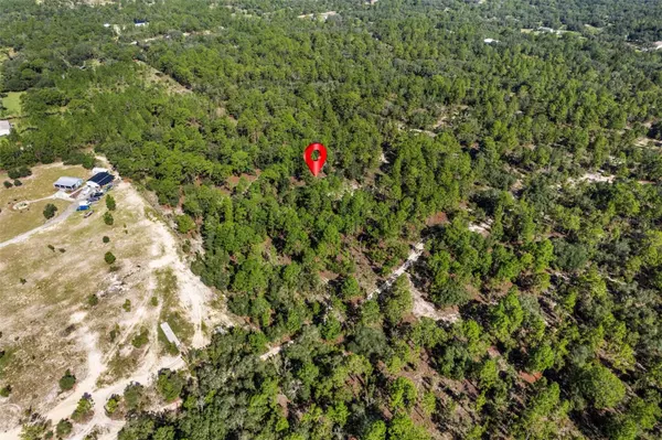 10686 N STATUE PT, Dunnellon, FL 34433