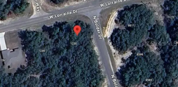 1230 W LORRAINE DR, Citrus Springs, FL 34434