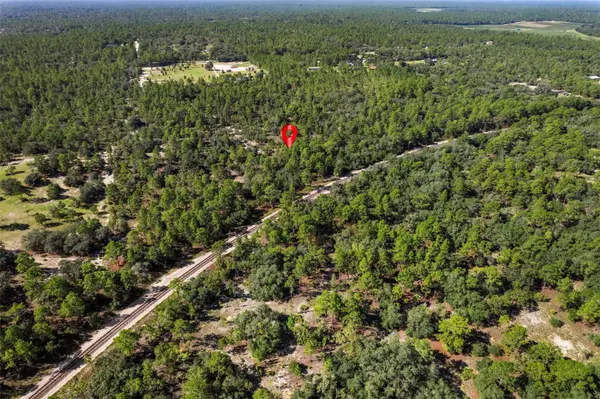 10806 N STATUE PT, Dunnellon, FL 34433