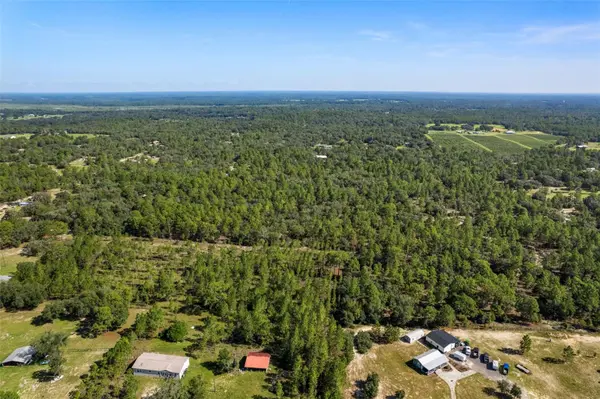 10806 N STATUE PT, Dunnellon, FL 34433