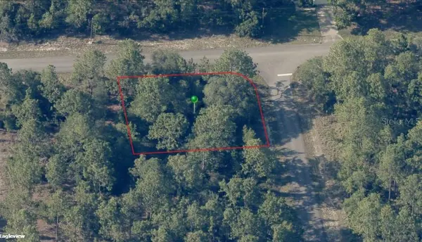 6564 N SHAFTON TER, Citrus Springs, FL 34433