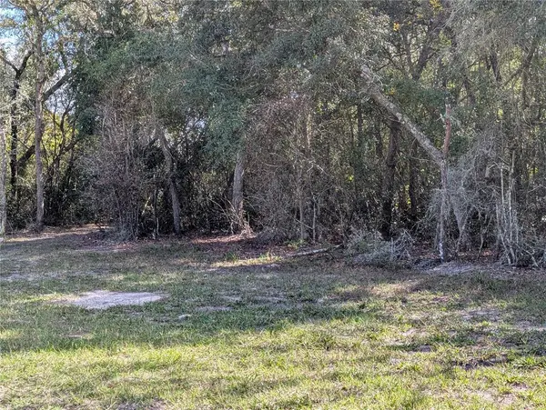 4114 E CAMP IZZARD PL, Dunnellon, FL 34434
