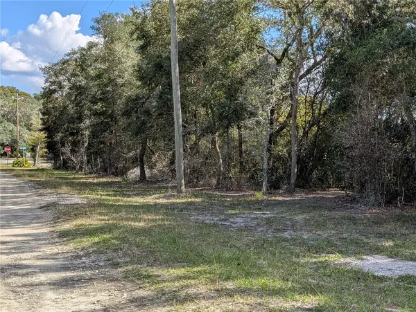 4114 E CAMP IZZARD PL, Dunnellon, FL 34434