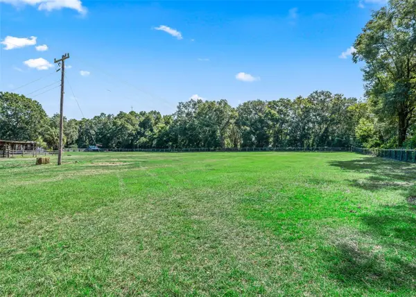 2195 NE 165TH ST, Citra, FL 32113