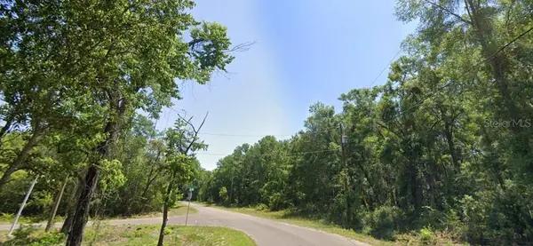 77 BAY COURT PASS, Ocklawaha, FL 32179