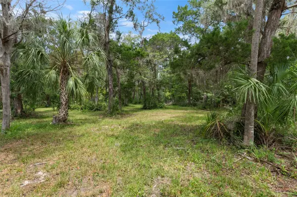 6929 S HAULOVER PT, Homosassa, FL 34448
