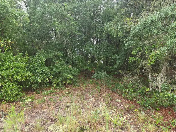 Lot 16 SW MARINE BLVD, Dunnellon, FL 34431