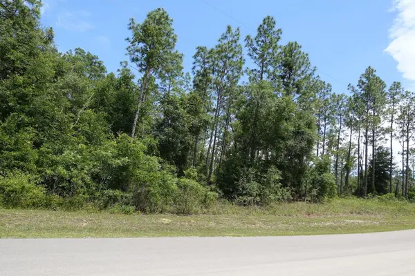 SW 38th Street & SW 159 CT, Ocala, FL 34481