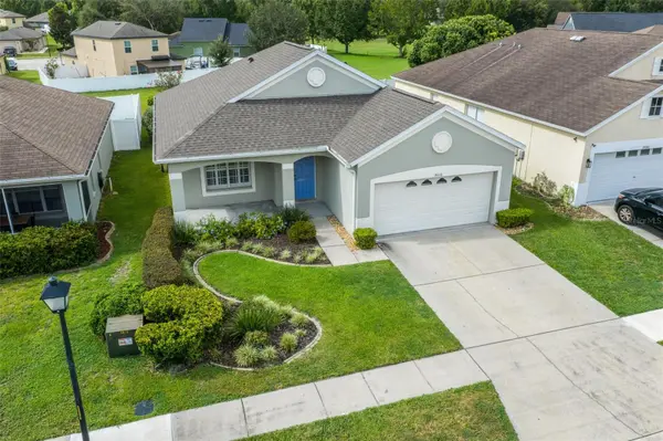 14316 HOLLY HAMMOCK LN, Brooksville, FL 34613