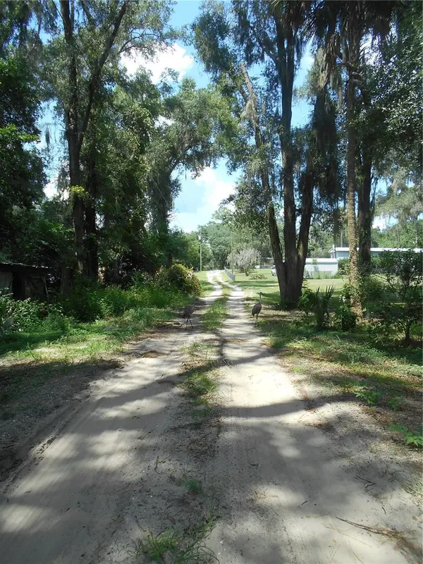 18800 NE 248TH TER, Fort Mc Coy, FL 32134
