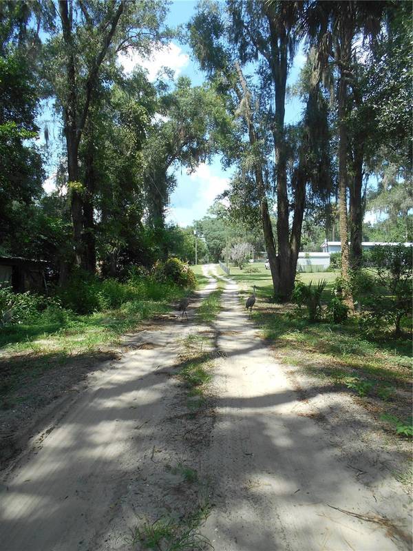 18800 NE 248TH TER, Fort Mc Coy, FL 32134