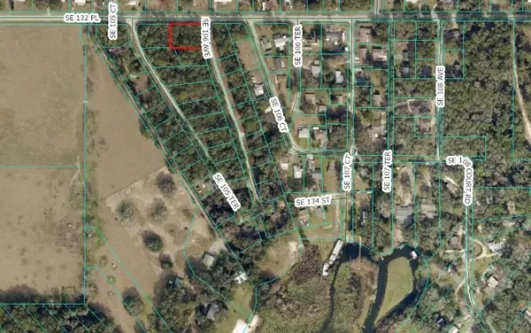 00 SE 132ND PL, Ocklawaha, FL 32179