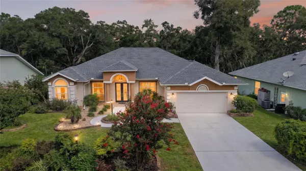 19647 SW 93RD PL, Dunnellon, FL 34432