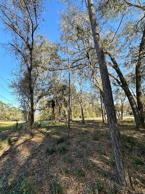 TBD NE 151 LN, Fort Mc Coy, FL 32134