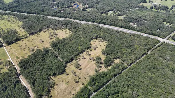 WOH #1 (15ac) NW 193RD ST, Micanopy, FL 32667