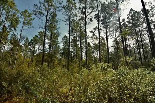 NW 179TH ST, Starke, FL 32091
