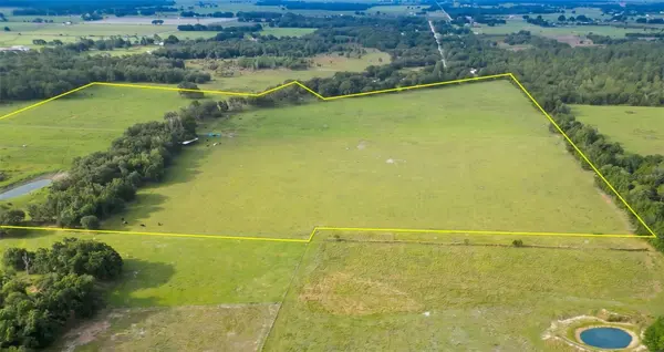 N ED WELLS RD, Wauchula, FL 33873