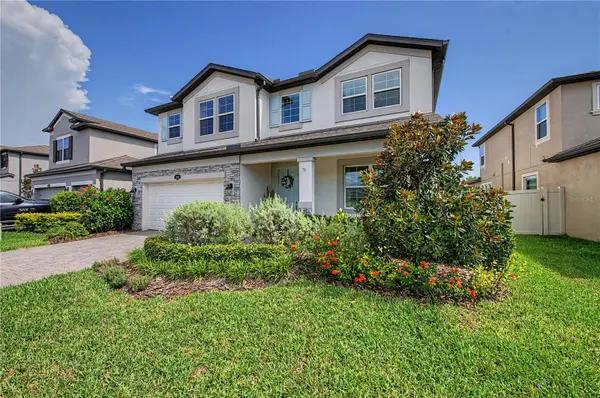 19308 BREYNIA DR, Lutz, FL 33558
