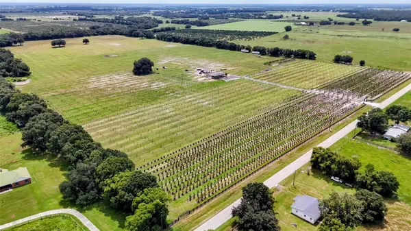 610 N HOLLANDTOWN RD, Wauchula, FL 33873