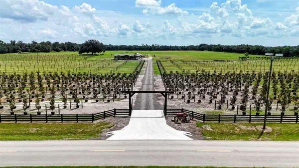 610 N HOLLANDTOWN RD, Wauchula, FL 33873