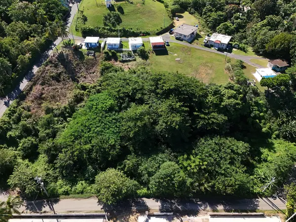 CARRETERA 413 RAMAL, Rincon, PR 00677