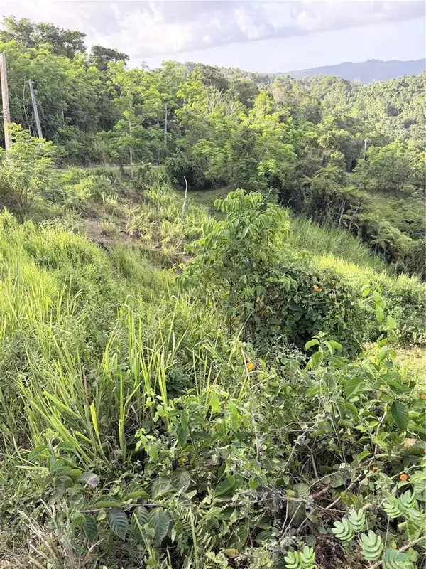 PR 785 KM 2.0 #4, Caguas, PR 00727