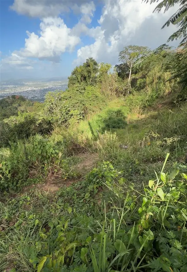 PR 785 KM 2.0 #4, Caguas, PR 00727