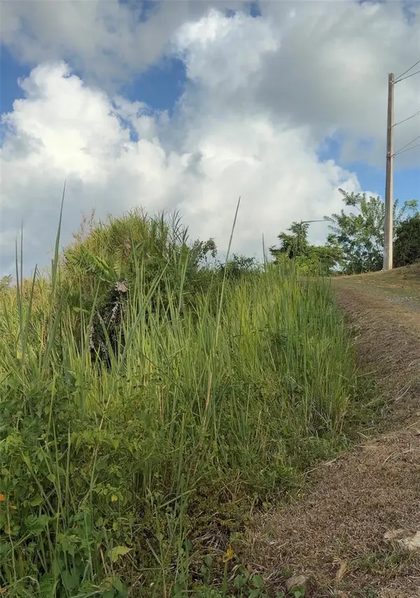 PR 785 KM 2.0 #4, Caguas, PR 00727