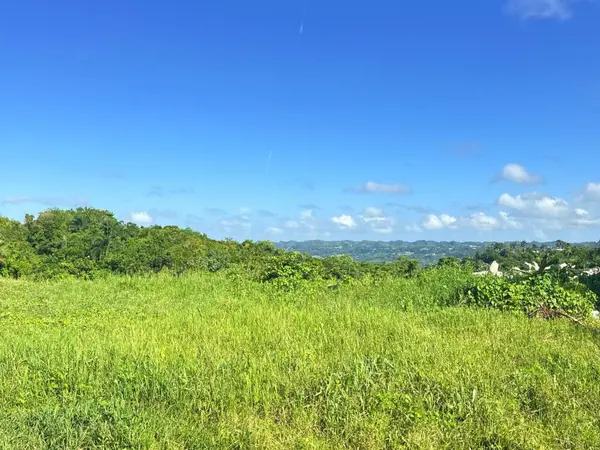 CARR 119 km 27.9 int BO HOYAMALA, San Sebastian, PR 00685
