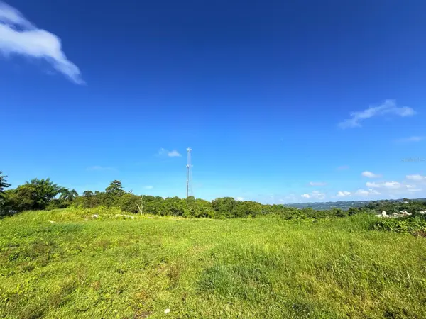 CARR 119 km 27.9 int BO HOYAMALA, San Sebastian, PR 00685