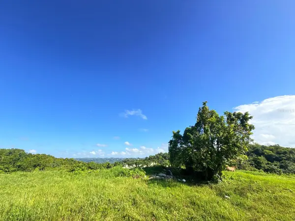 CARR 119 km 27.9 int BO HOYAMALA, San Sebastian, PR 00685