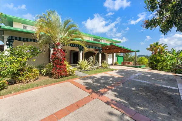 59 REINA ISABEL, Rio Grande, PR 00745
