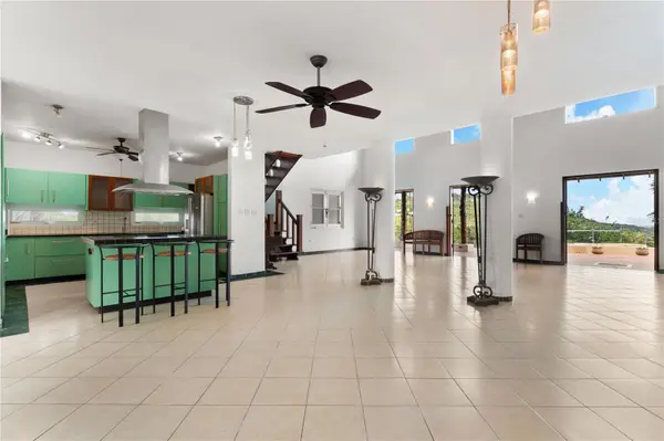 59 REINA ISABEL, Rio Grande, PR 00745
