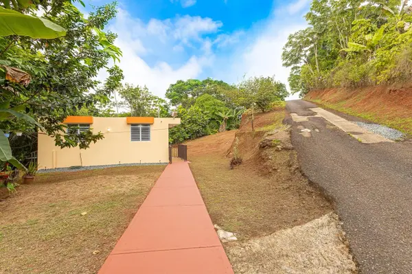339 ST BO MONTOSO #145, Mayaguez, PR 00680