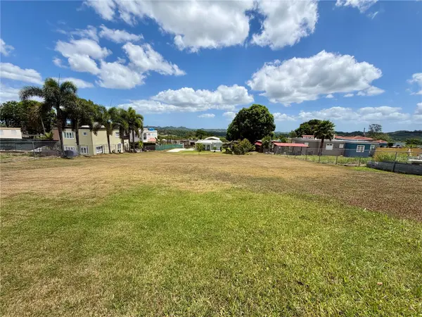 CARR 662, Morovis, PR 00687