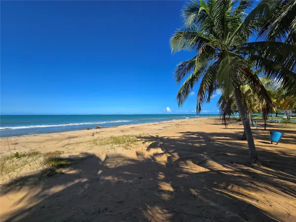 351 LAS PICAUS, PLAYAS DEL YUNQUE #19, Rio Grande, PR 00745