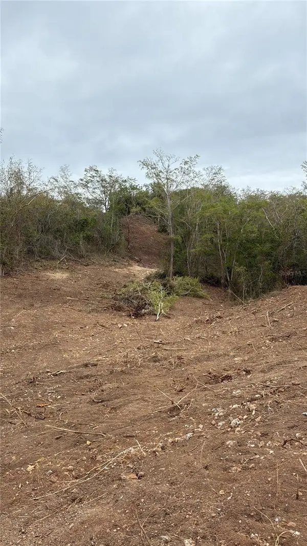 BARRIO COSTA SOLAR NO 3, Lajas, PR 00667