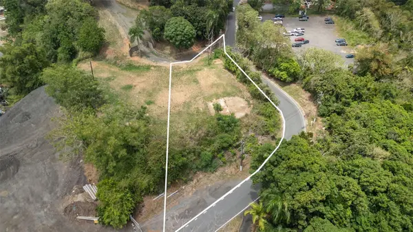 SR-835 MAMEYES WARD, Guaynabo, PR 00969