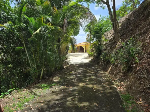 PR 156 KM. 23.9 RIO HONDO WARD, Comerio, PR 00782