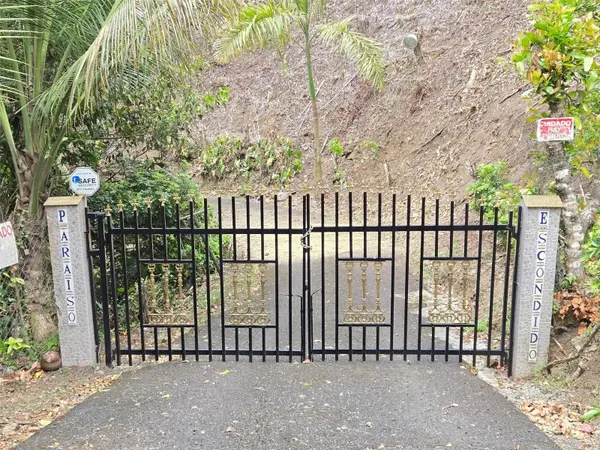 PR 156 KM. 23.9 RIO HONDO WARD, Comerio, PR 00782