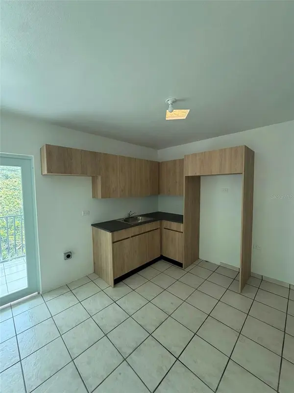 164 Palmarejo PALMAREJO, Corozal, PR 00783