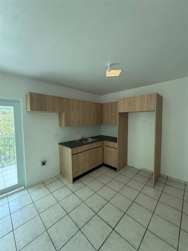 164 Palmarejo PALMAREJO, Corozal, PR 00783