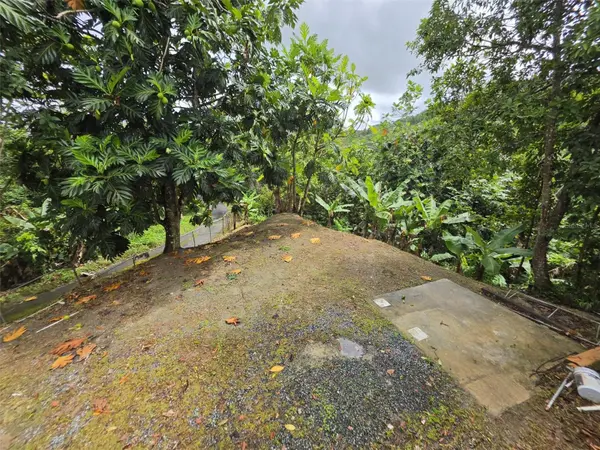 PR 9920 QUEBRADA ARENAS, San Lorenzo, PR 00754