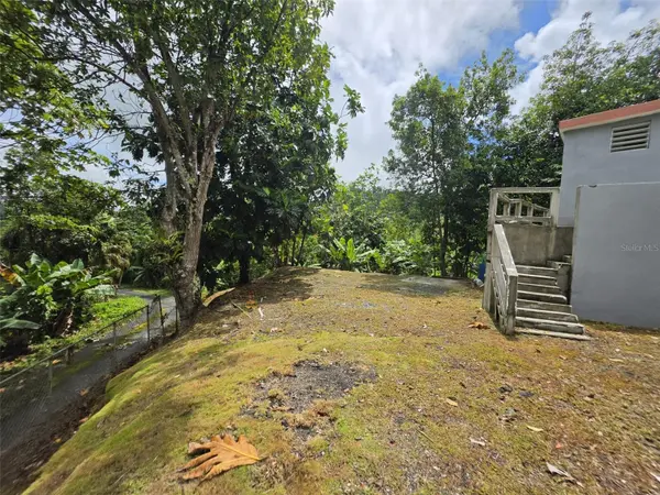 PR 9920 QUEBRADA ARENAS, San Lorenzo, PR 00754