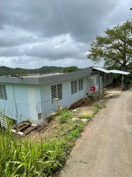 SR-146 BO. FRONTON, Ciales, PR 00638