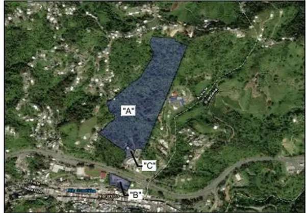 167 PR 5.5, Naranjito, PR 00719