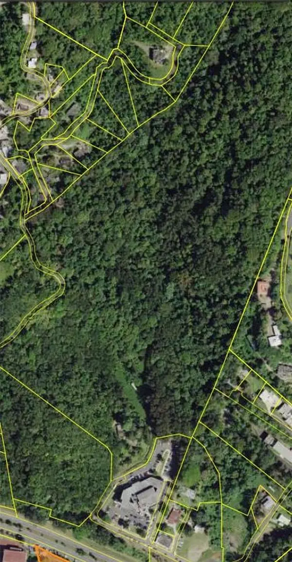 167 PR 5.5, Naranjito, PR 00719
