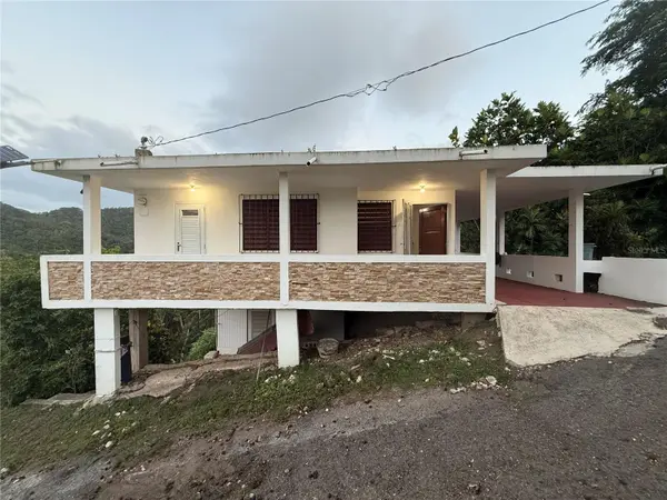 KM 66.2 PR-123 RD, Utuado, PR 00641