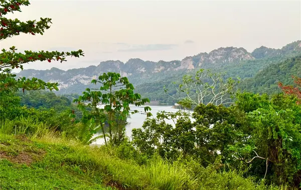 KM 66.2 PR-123 RD, Utuado, PR 00641