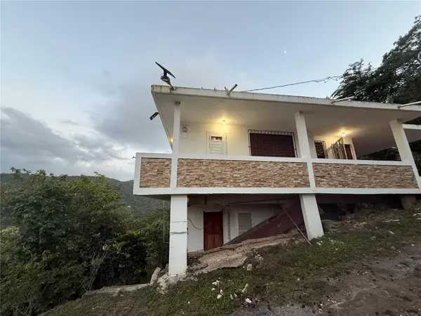 KM 66.2 PR-123 RD, Utuado, PR 00641